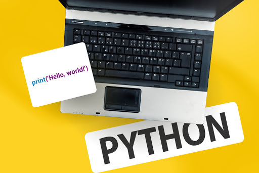 Python Web Application Development Services