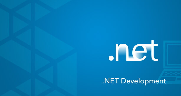 .NET Website Development Company in India