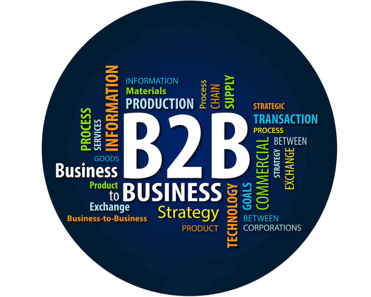 B2B Web Portal Development Company India