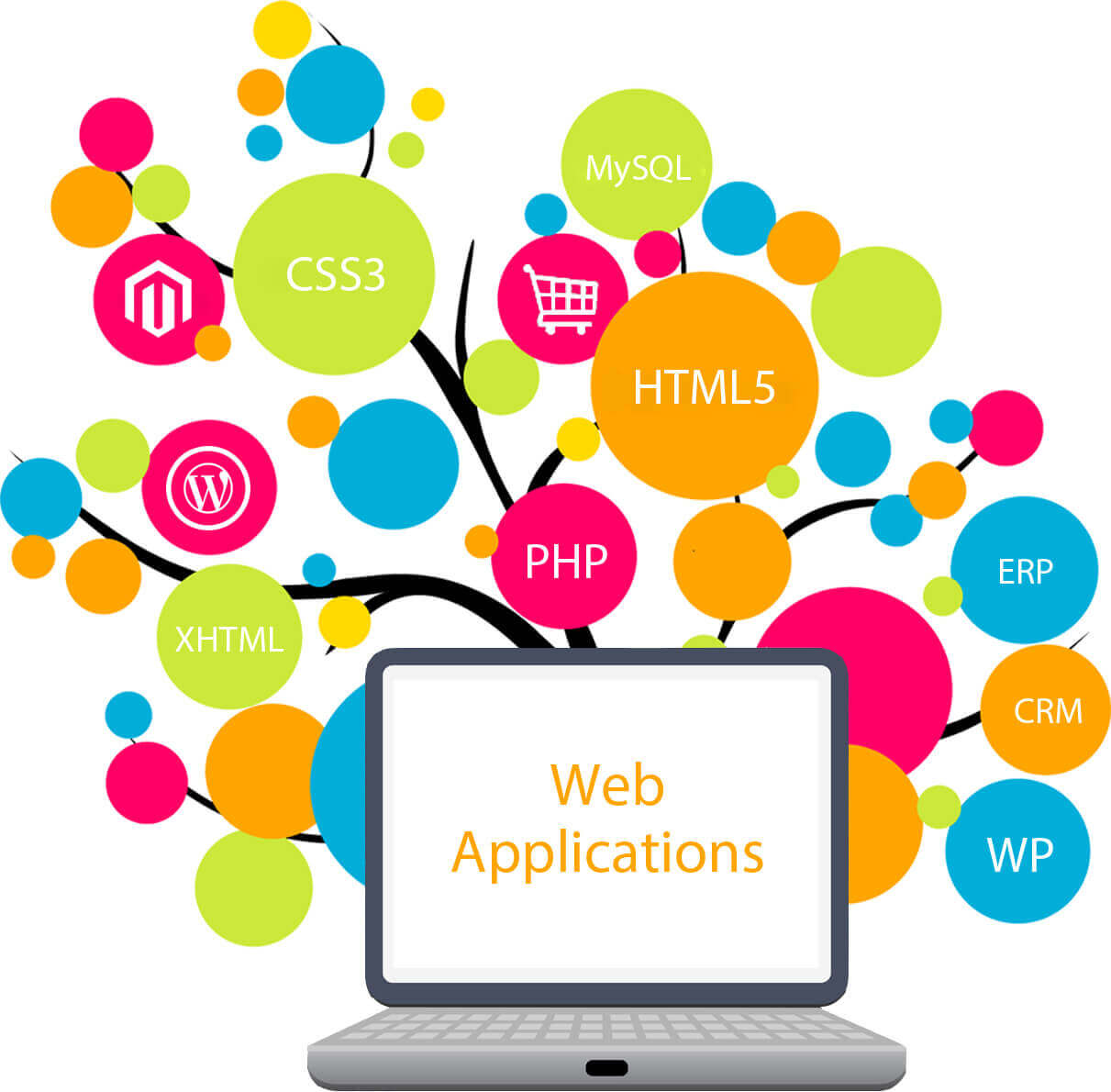 Web Application Development Company India